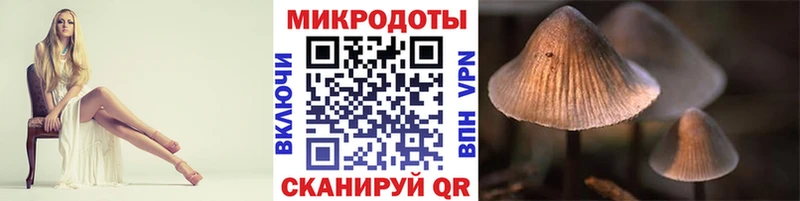 Псилоцибиновые грибы Psilocybe  Константиновск 